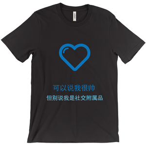 Handsome Adult T-shirt (Chinese)