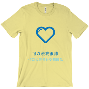 Handsome Adult T-shirt (Chinese)
